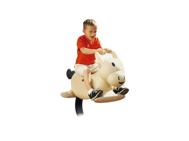 Spring Rider Toys